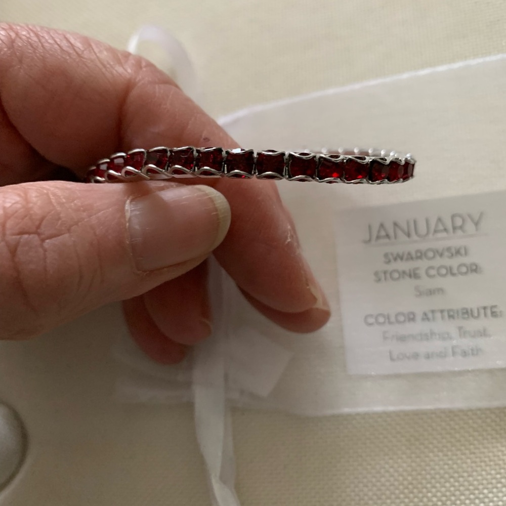 Touchstone Crystal by Swarovski January Stretch Birthdtone Bracelet